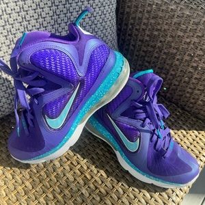 Lebron 9 Hornets